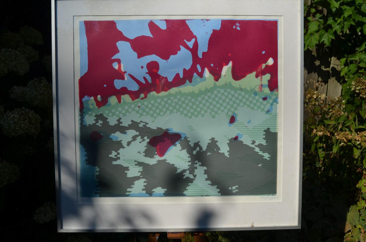 Mooie zeefdruk Ed Franssen