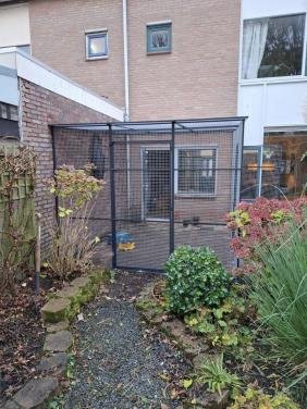 Kattenrennen/patio