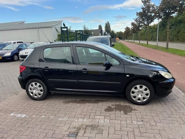 Peugeot 307 1.6-16v xs