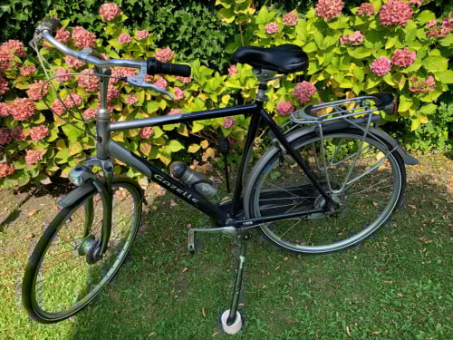 Gazelle Orange Goldline maat 61