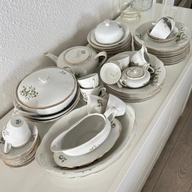 Servies 12 persoons