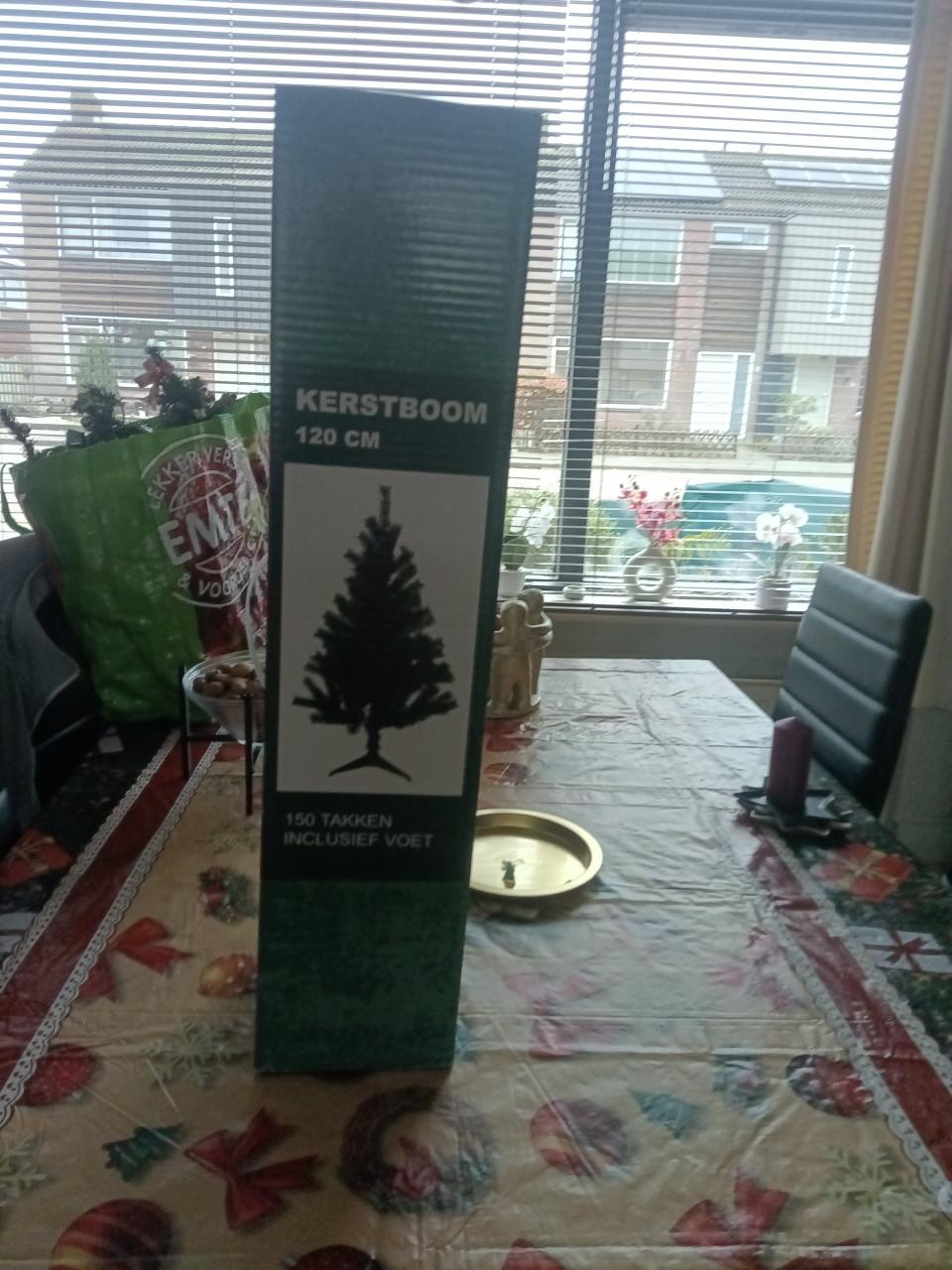 Verschillende kerstbomen
