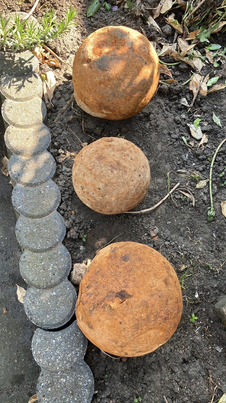 Kanonskogels
