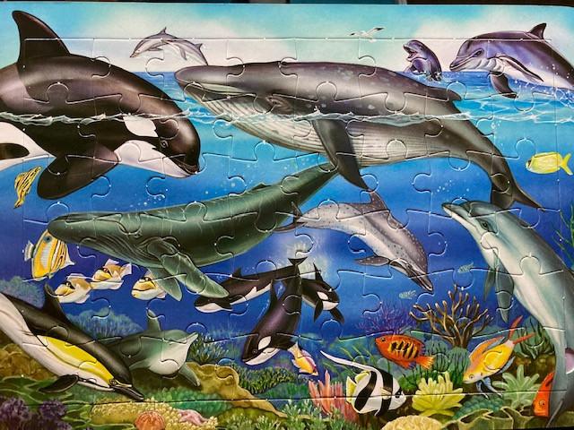 Legpuzzels met 48/96/112/500 en 1000 stukjes.