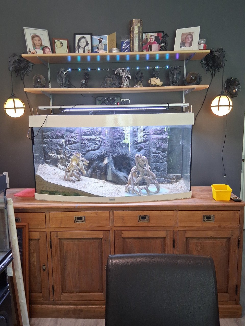 2x aquarium met  veel accessoires
