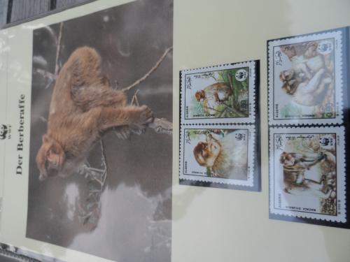 WWF maximumkaarten , FDC en postzegels en Hologramvel