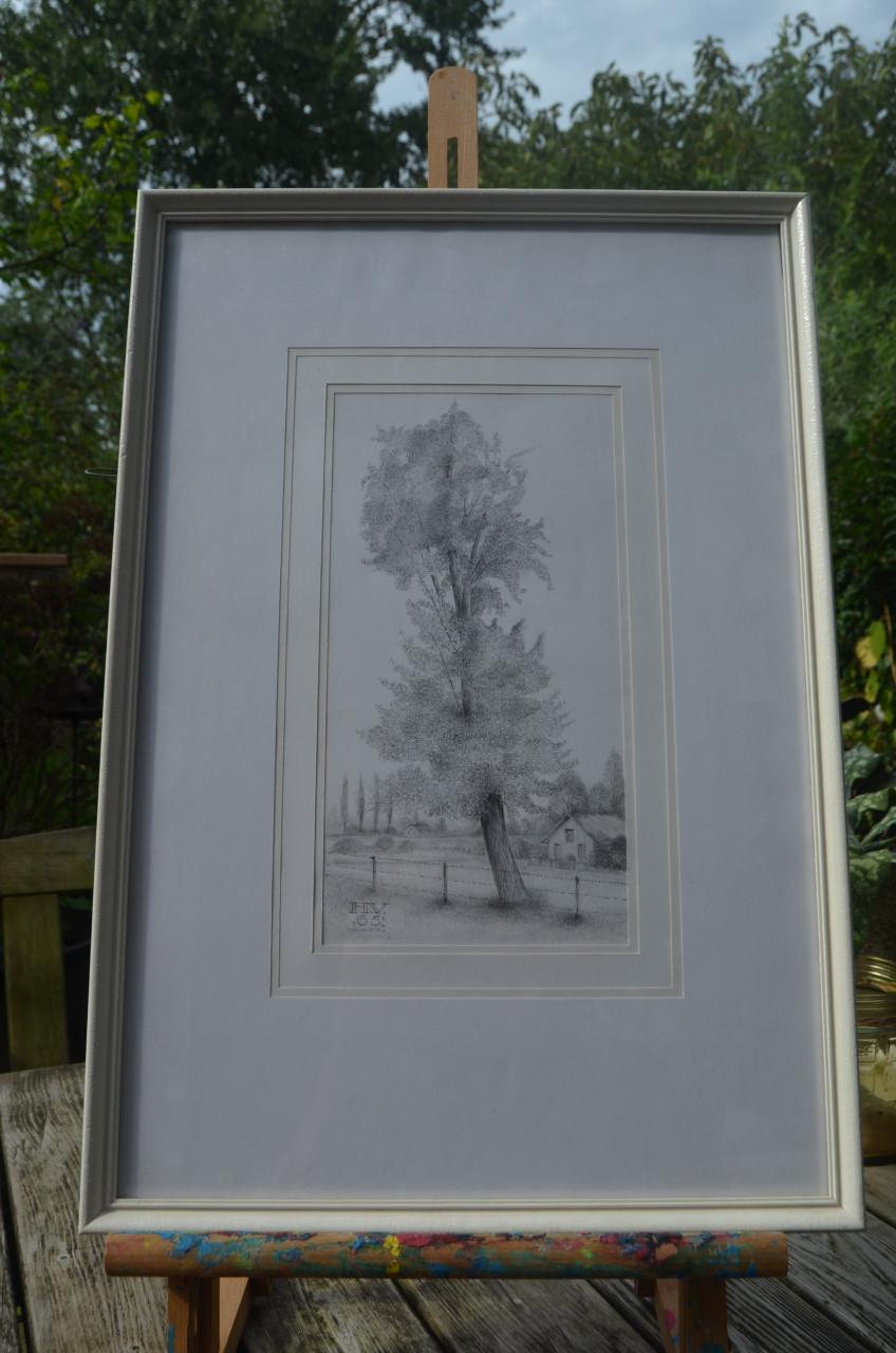 9 x Hendrik Voskuijl (1893 - 1980) potloodtek. bomen (3) o.a. Ommen