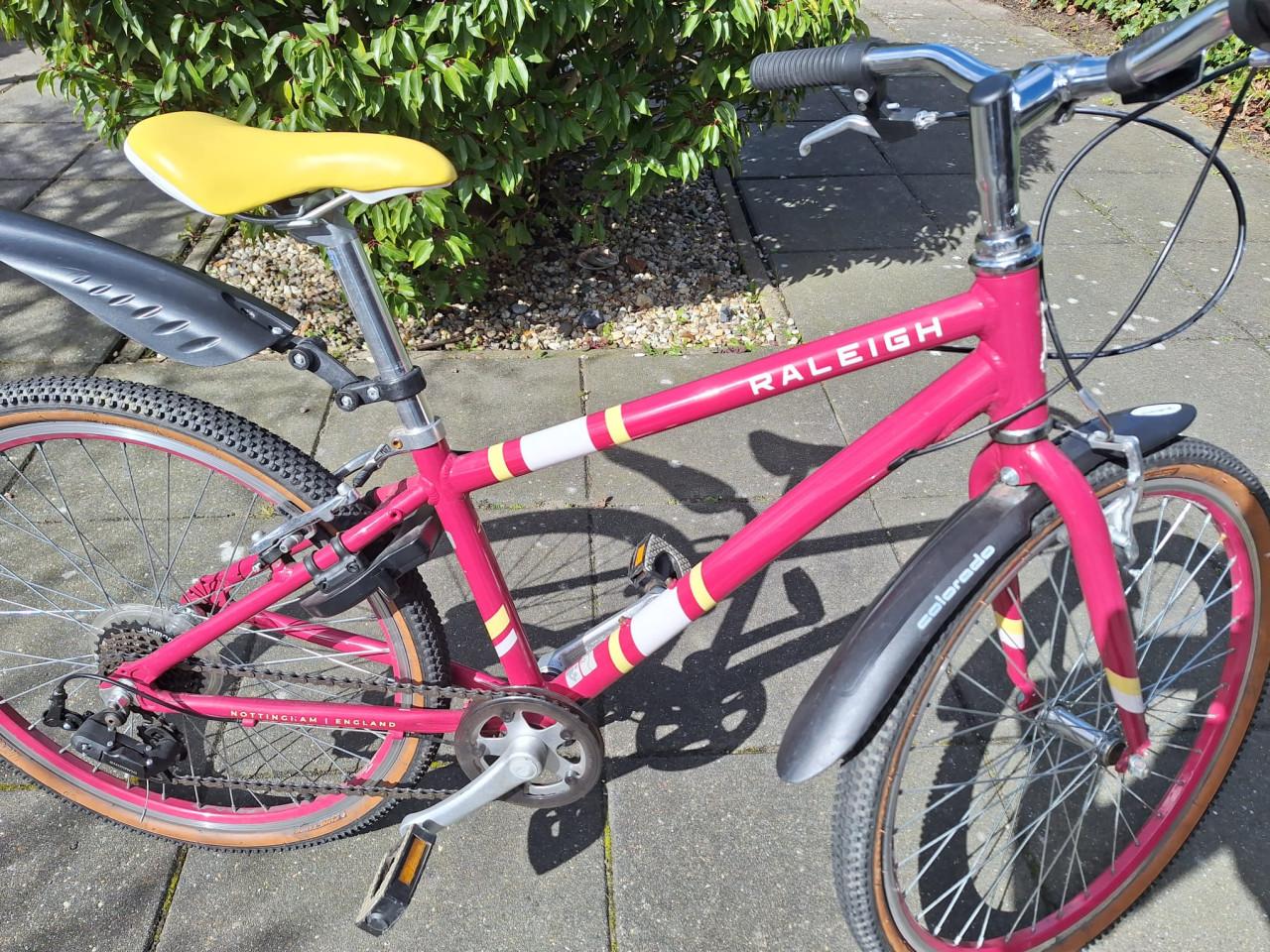 Mountainbike meisje Raleigh