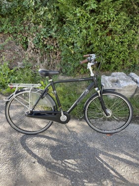 Tekoop Batavus Monaco