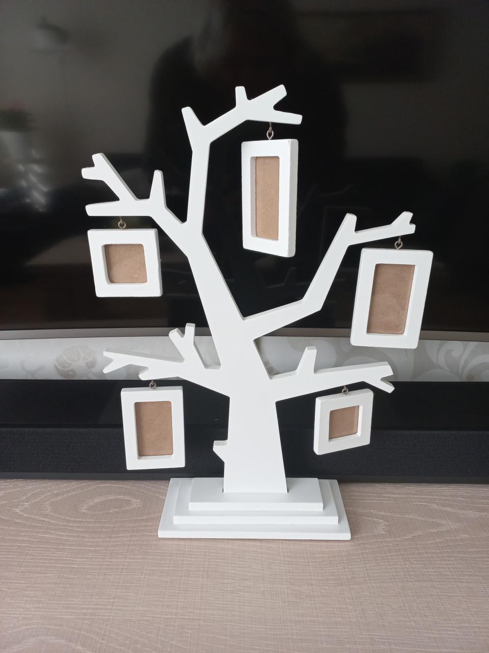 Fotolijstboom en 2 vlinders