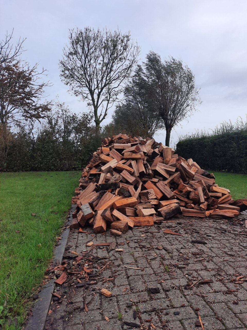 Droog haardhout