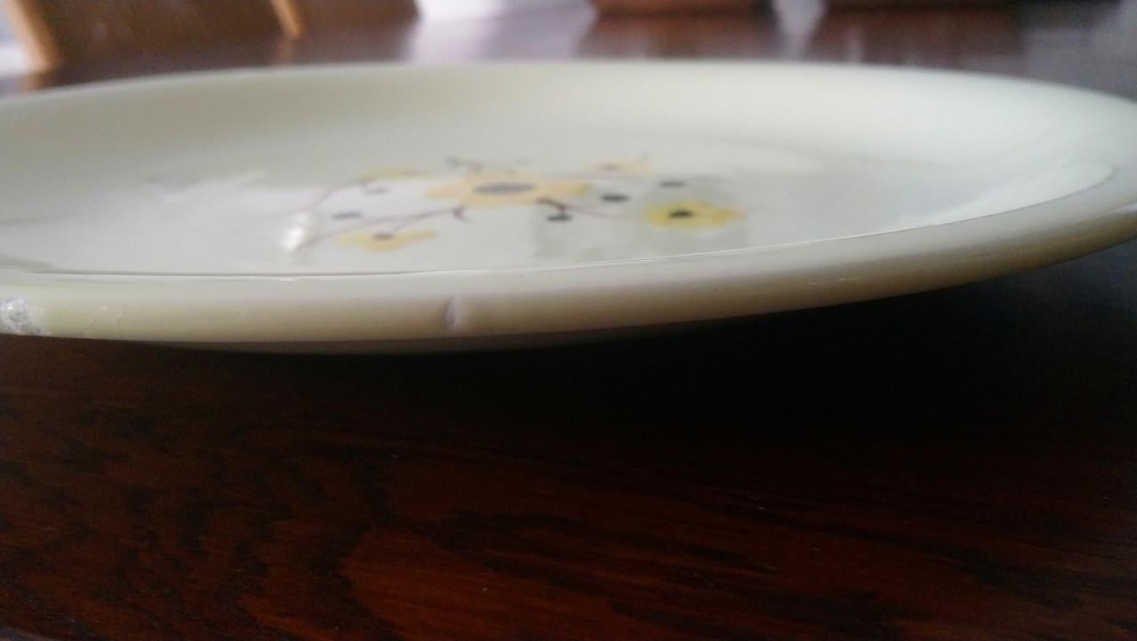 Set van 2 vintage Franse schalen Salins servies Catherine