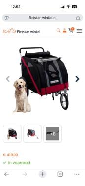 Doggy ride