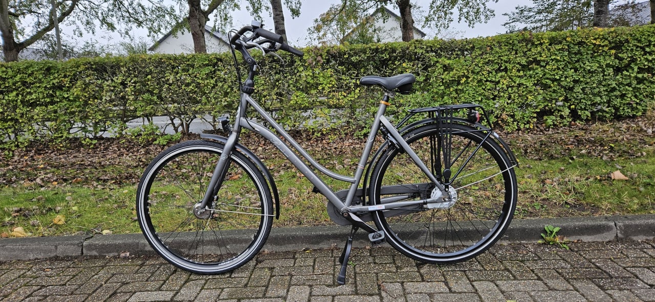 Cortina Roots Damesfiets 55 cm