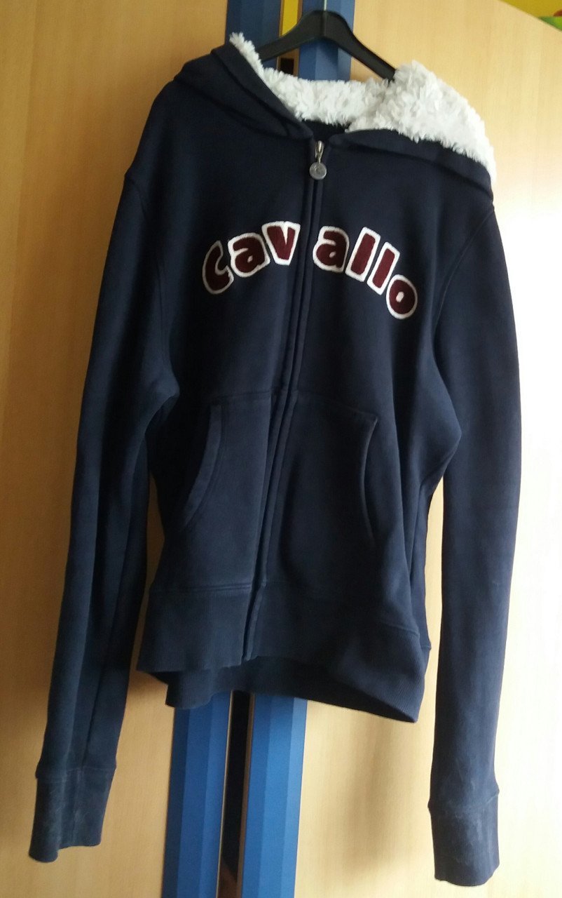 Cavallo vest sweater 42