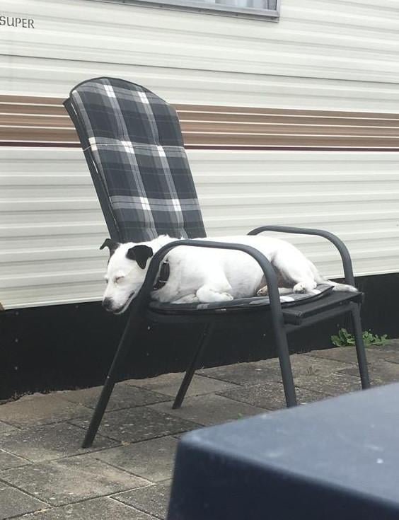 Tuinset tafel met 6 stoelen en kussens