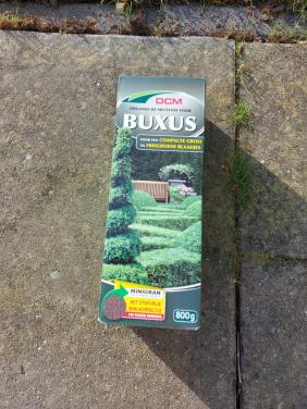 Bemesting voor buxus