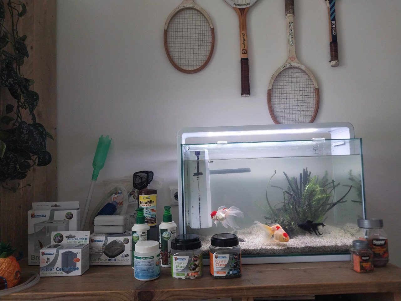 Compleet aquarium