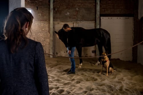 Gratis kennismakingssessies