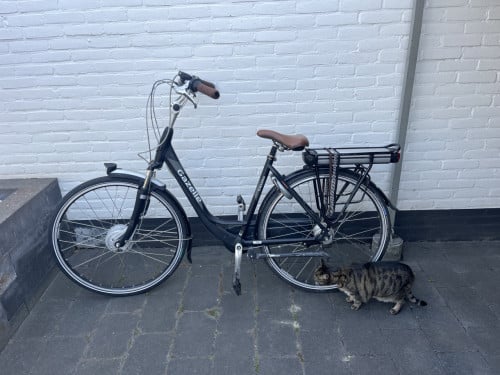 Electrische fiets