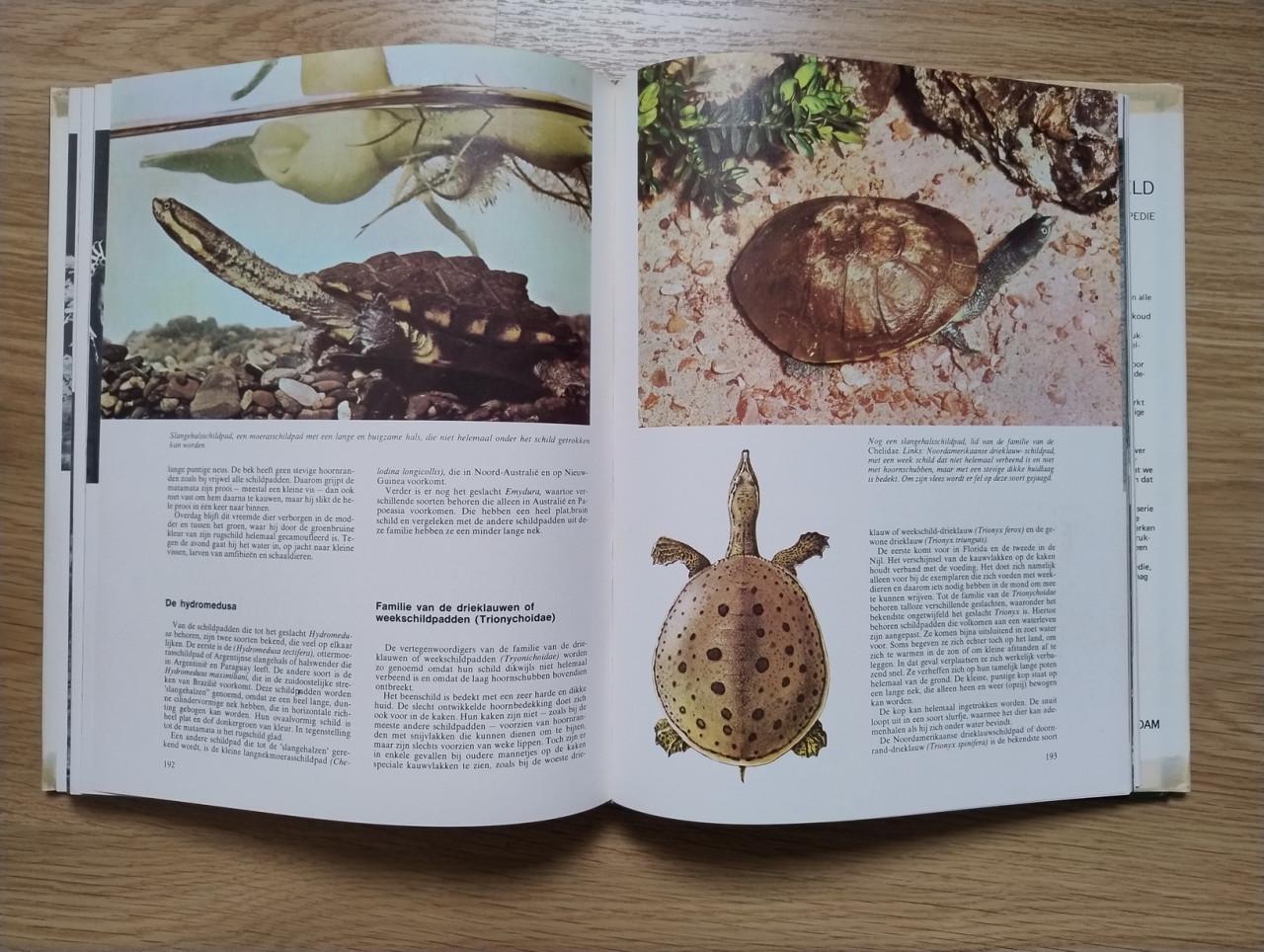 Complete 10 delige serie over de Geheimen van het Dierenrijk