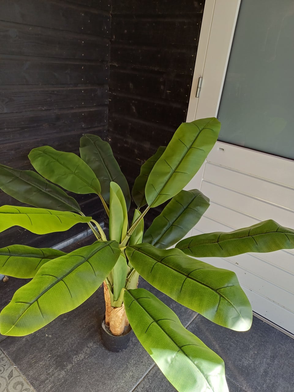 Kunst bananenplant
