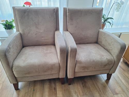 Set van 2 comfortabele bijzetfauteuils