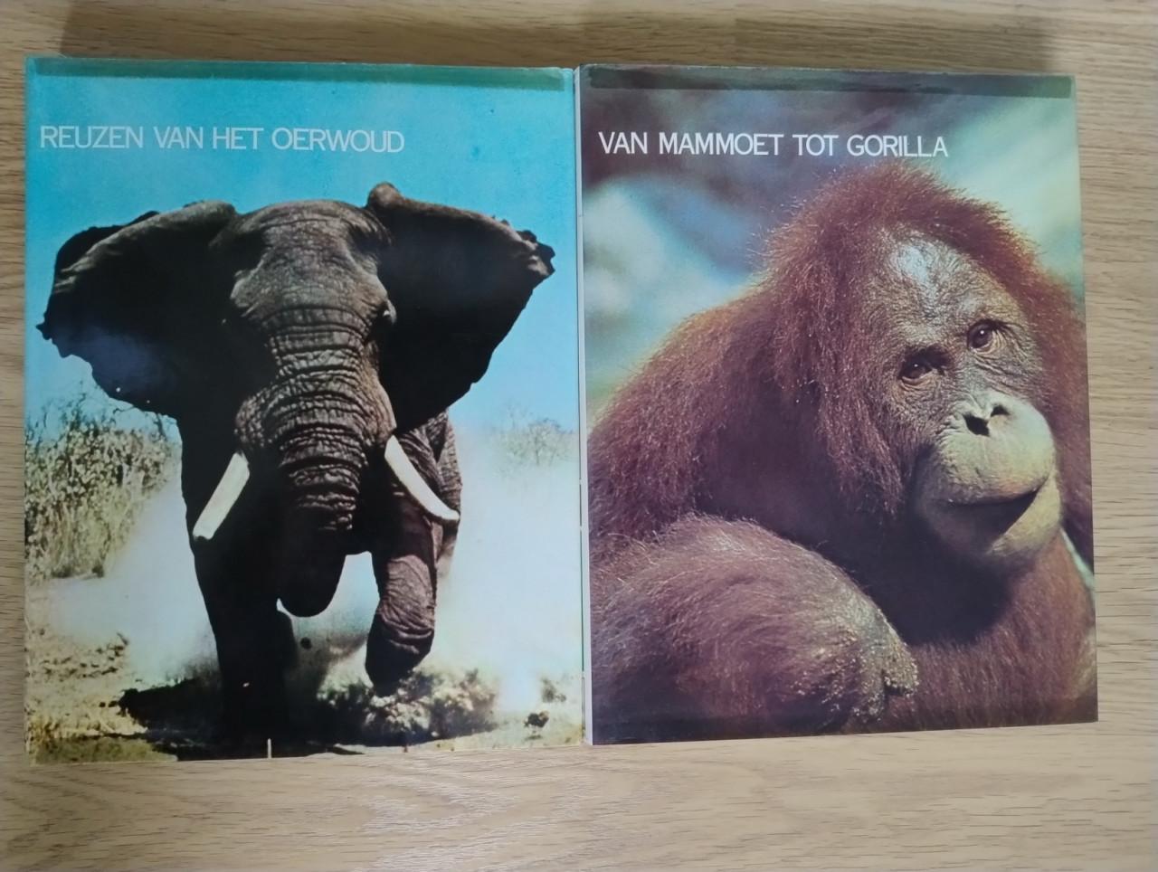 Complete 10 delige serie over de Geheimen van het Dierenrijk