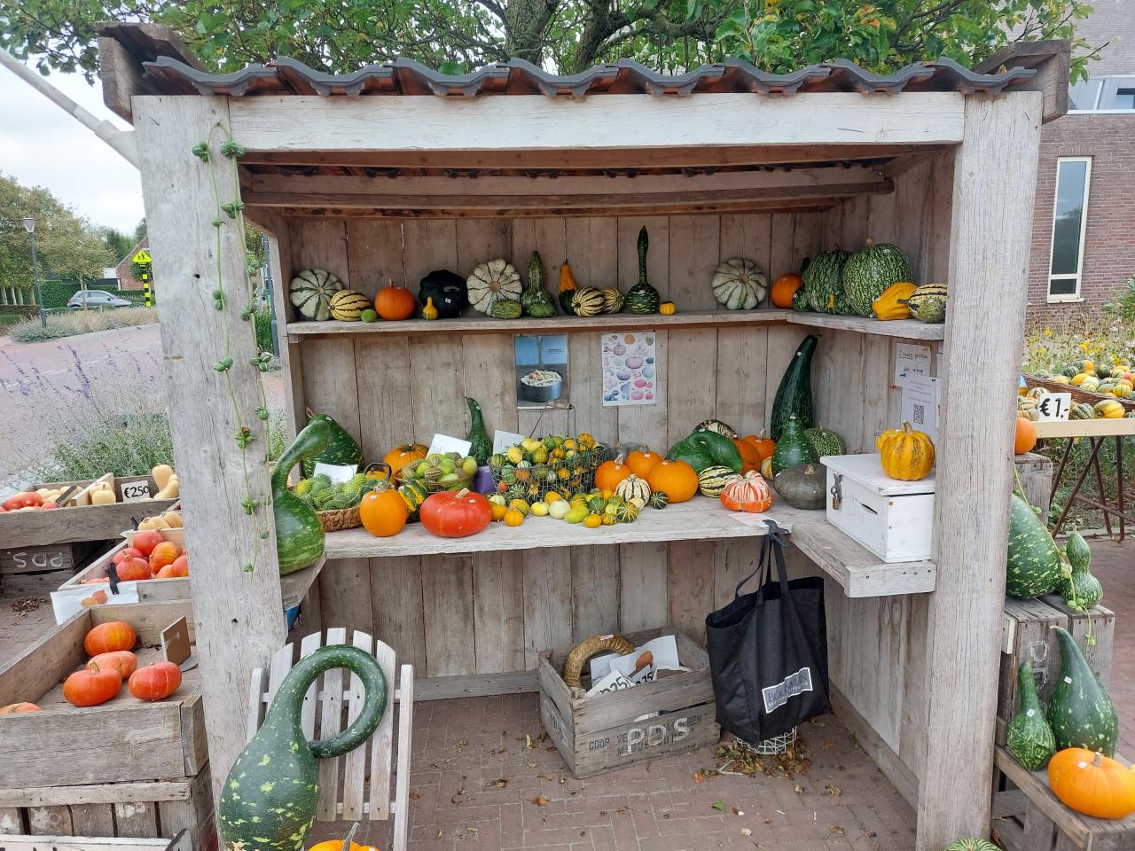 Pompoenen