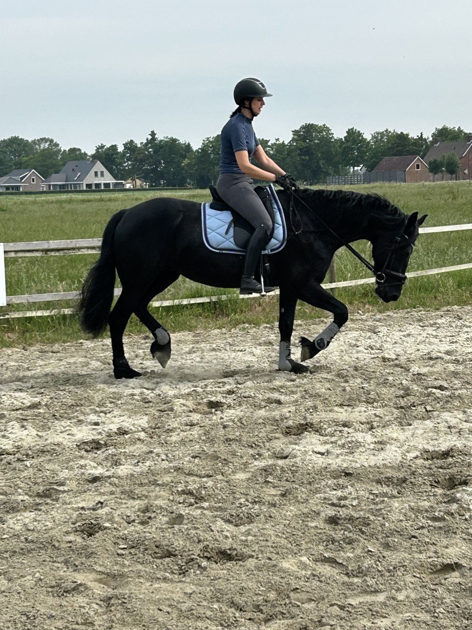 # Equi Pride # Gedrag, Grondwerk, Rijden, Natural Horsemanship etc.