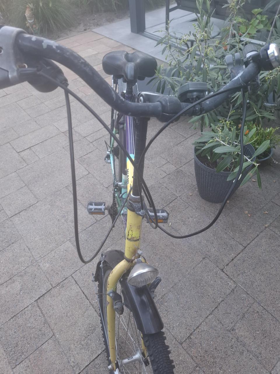 Mountainbike