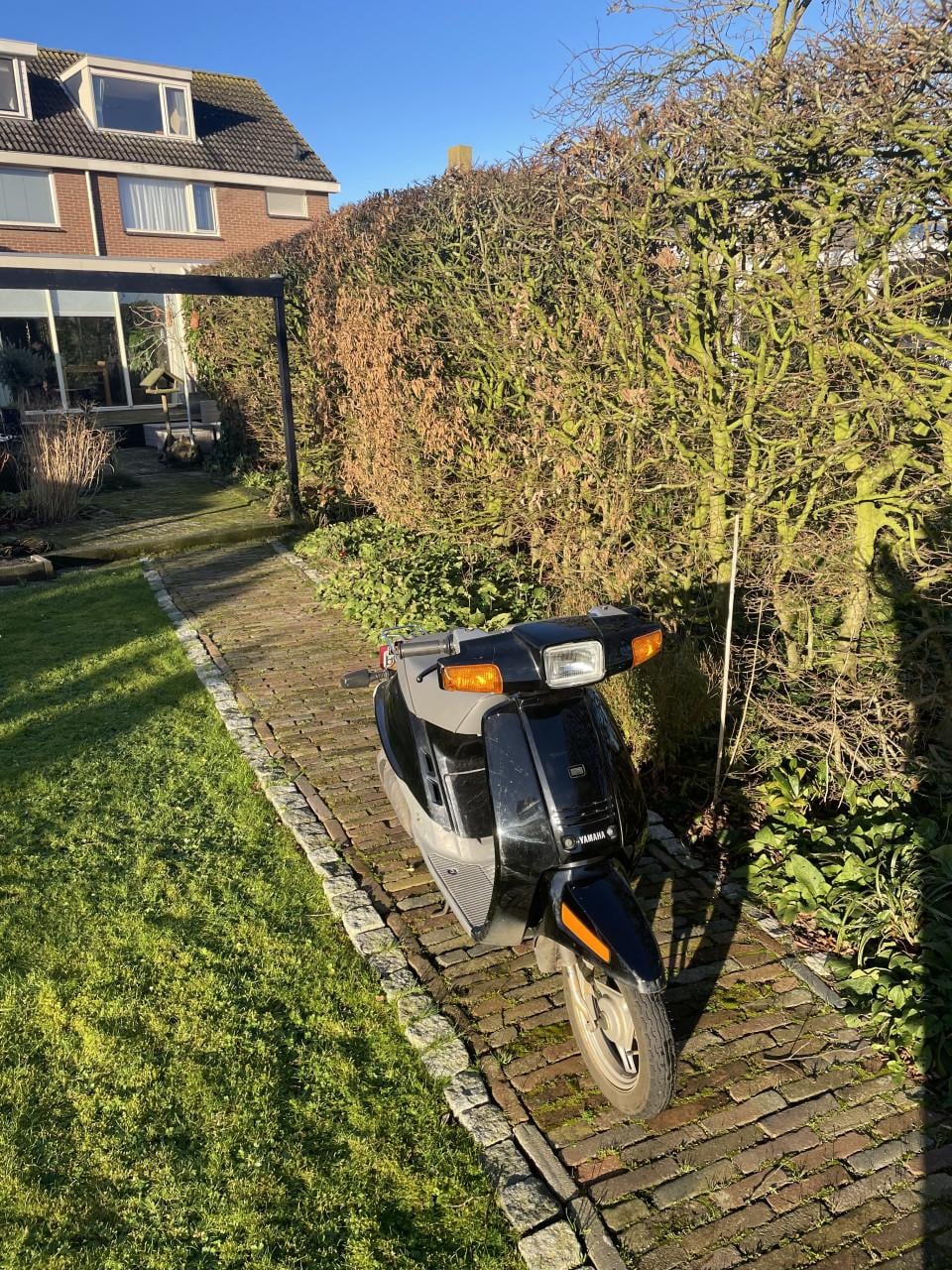 Yamaha mint