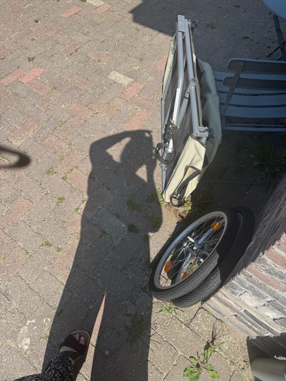 Hondenfietskar