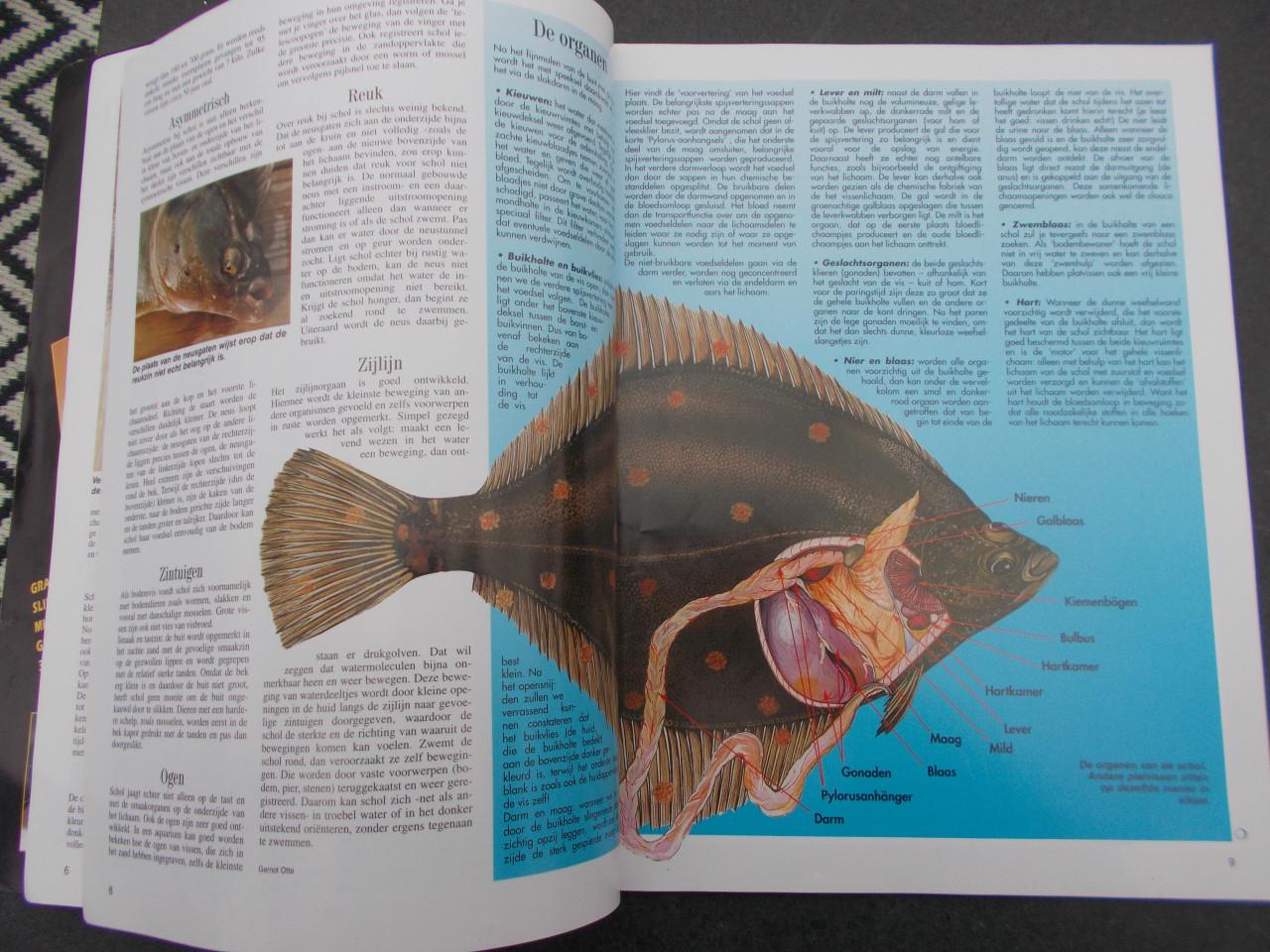 PLATVIS , vangtechnieken etc