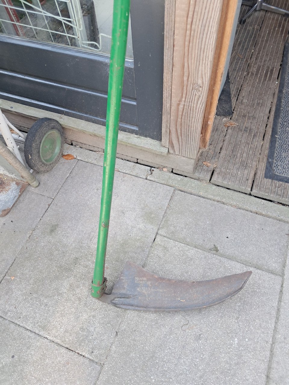 Zijs