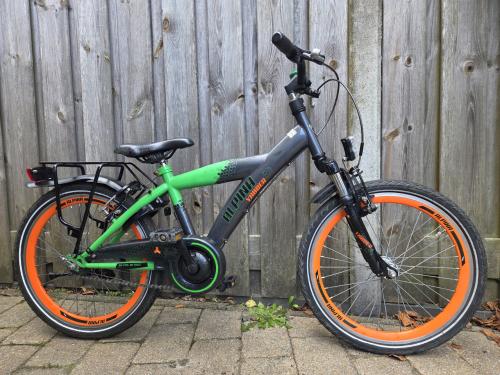 Alpina Yabber 20 inch