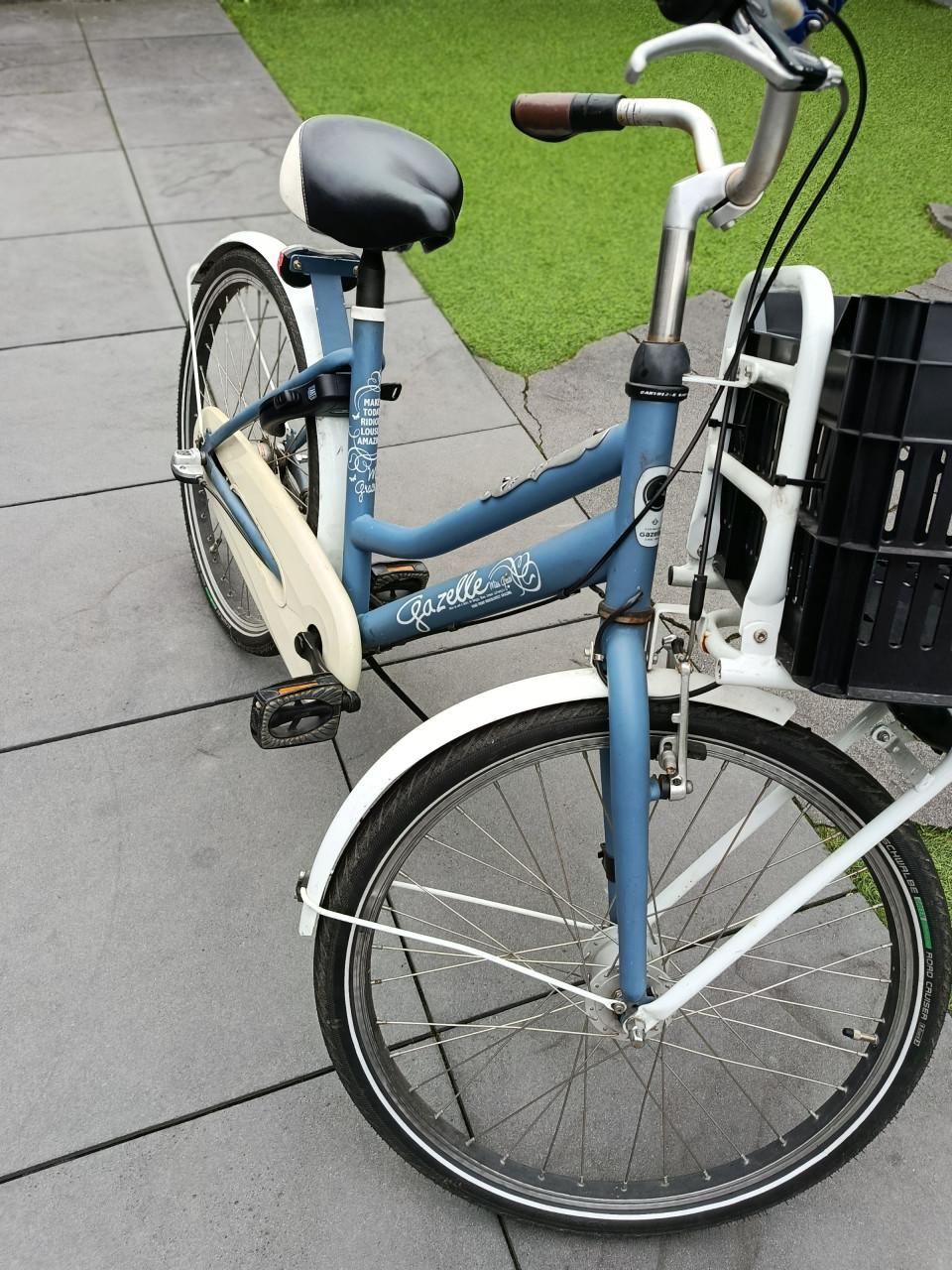 Te koop: Gazelle miss Grace 24 inch
