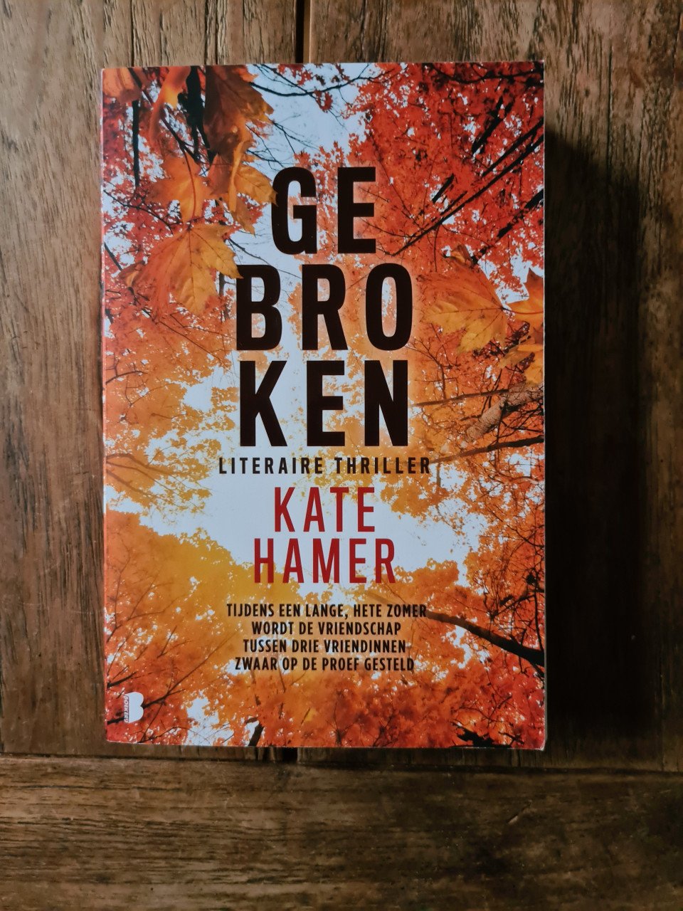 Kate Hamer - Gebroken Thriller