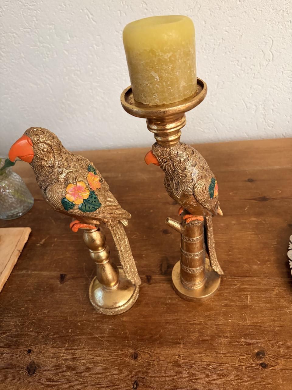Leuke goudkleurige papegaaien