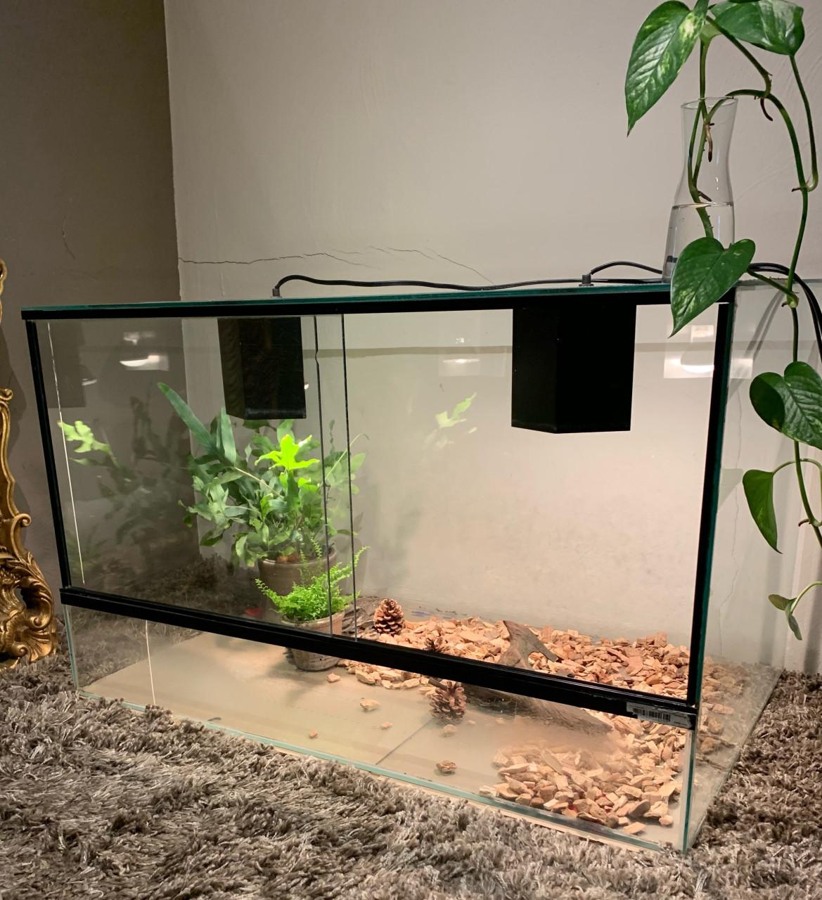 Terrarium