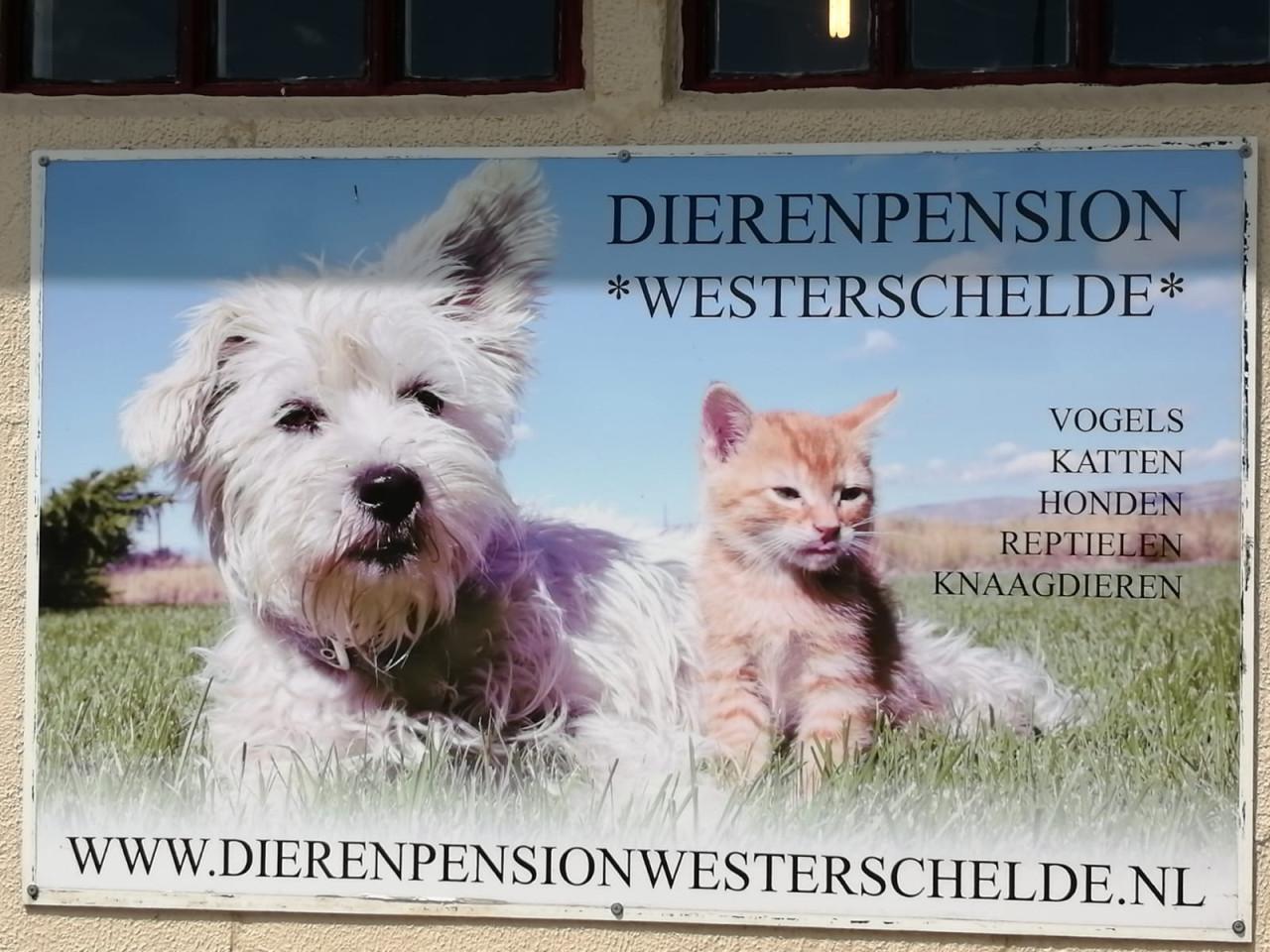 Uw huisdier onder dak.