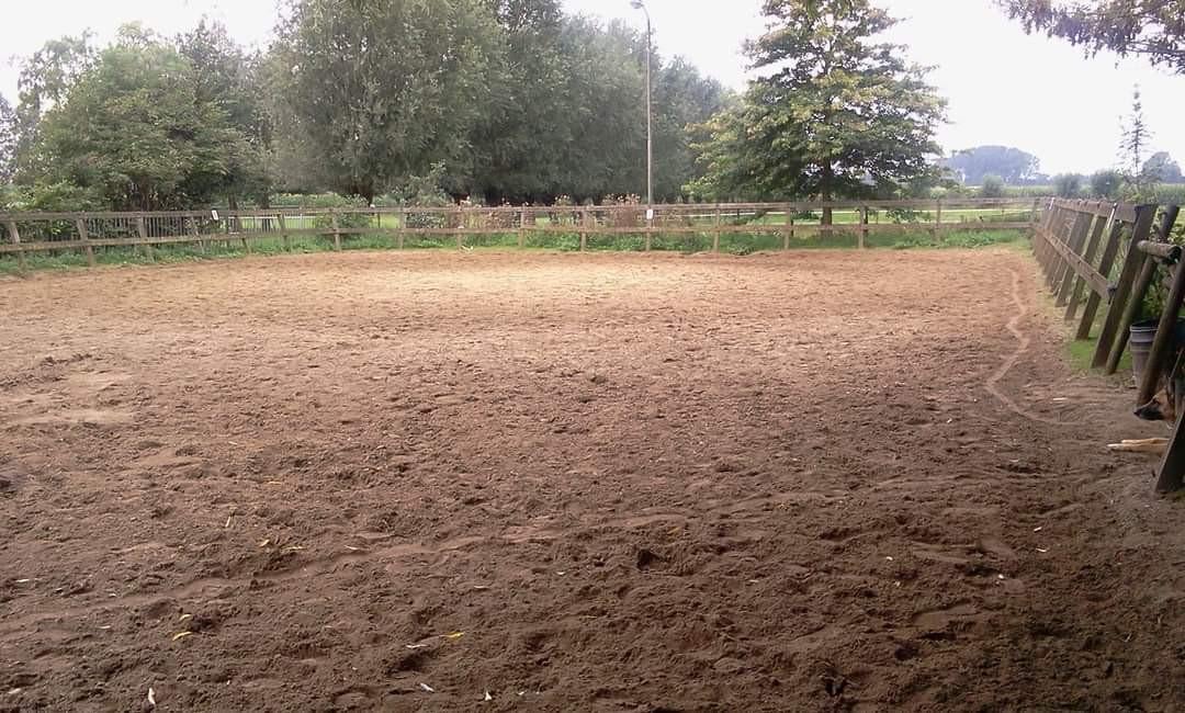 Paardenbox met weidegang beschikbaar