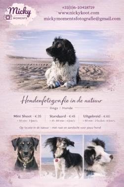 Honden fotoshoot