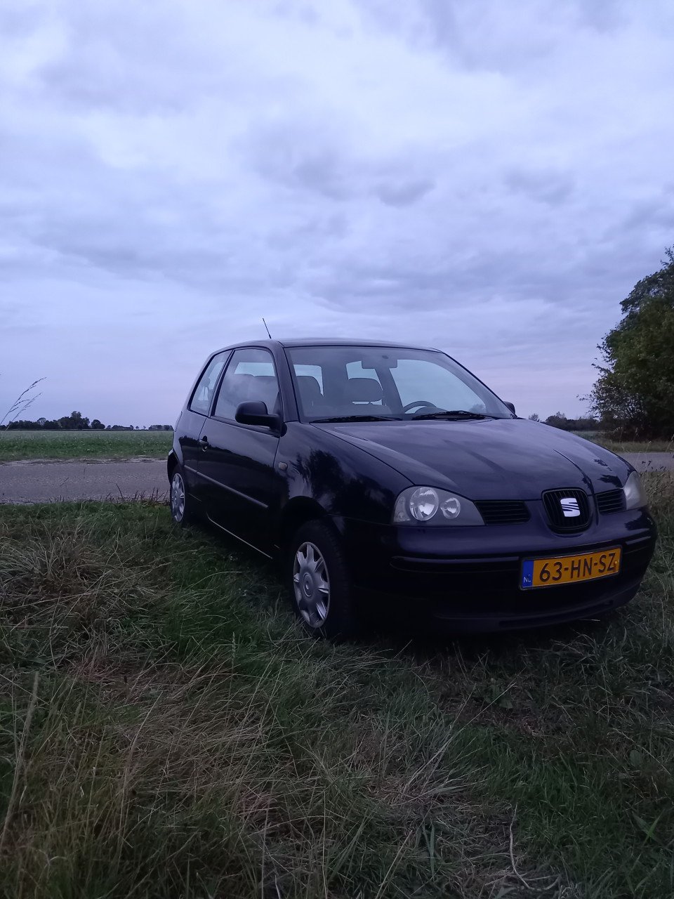 Seat Arosa 1.4 44kw zwart