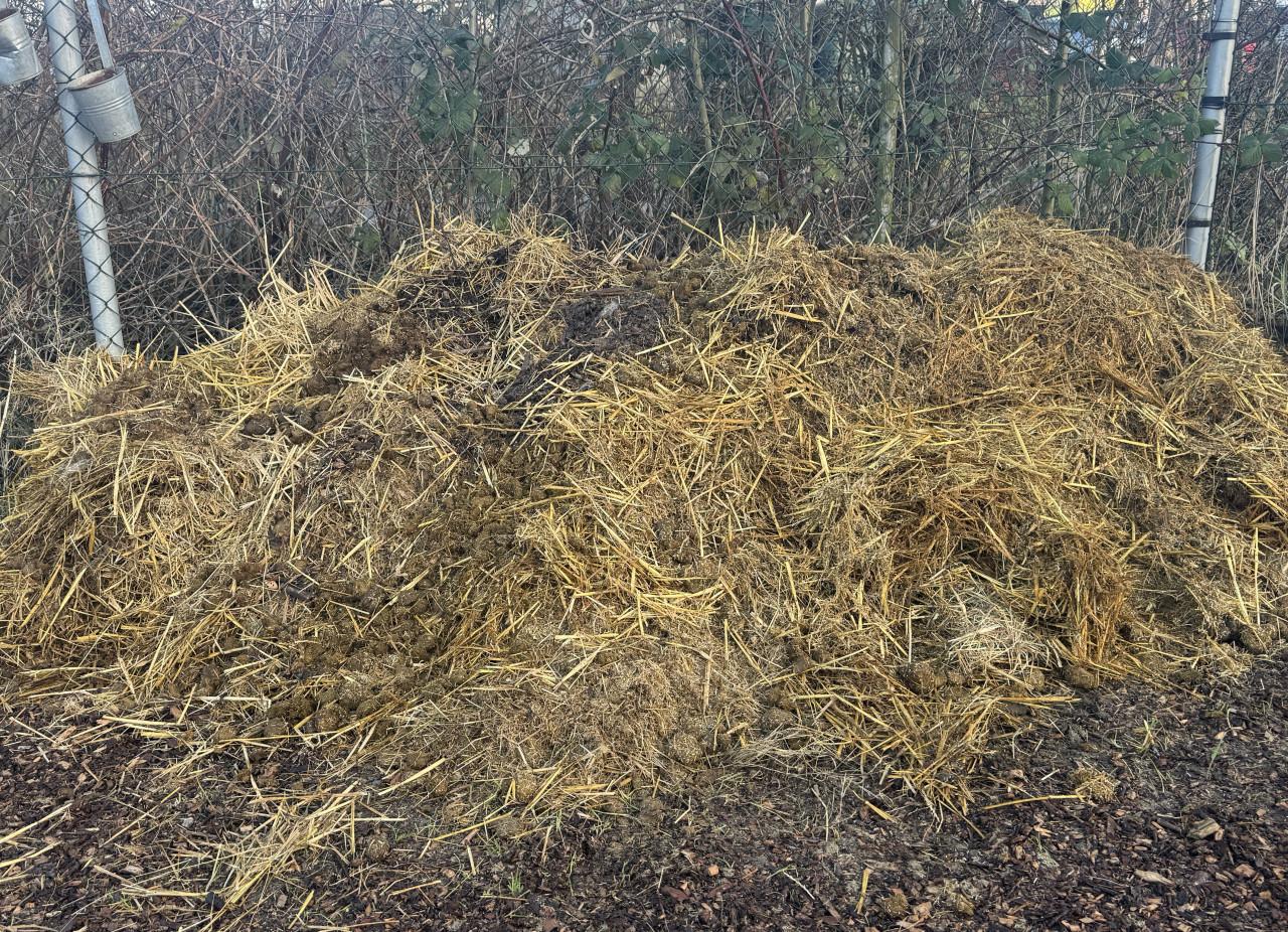 Paardenmest (biologisch)