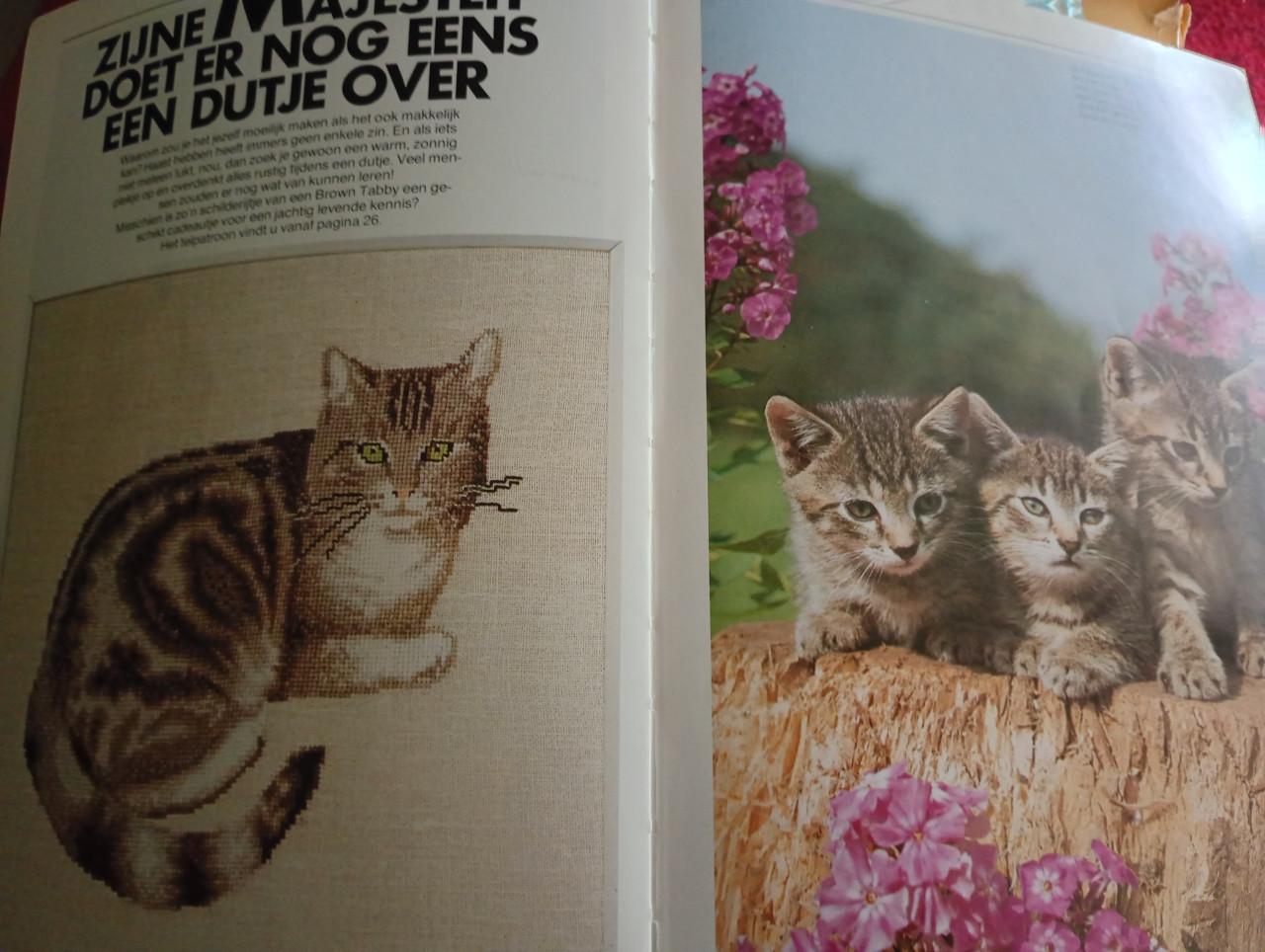 Poes in kruissteek boek
