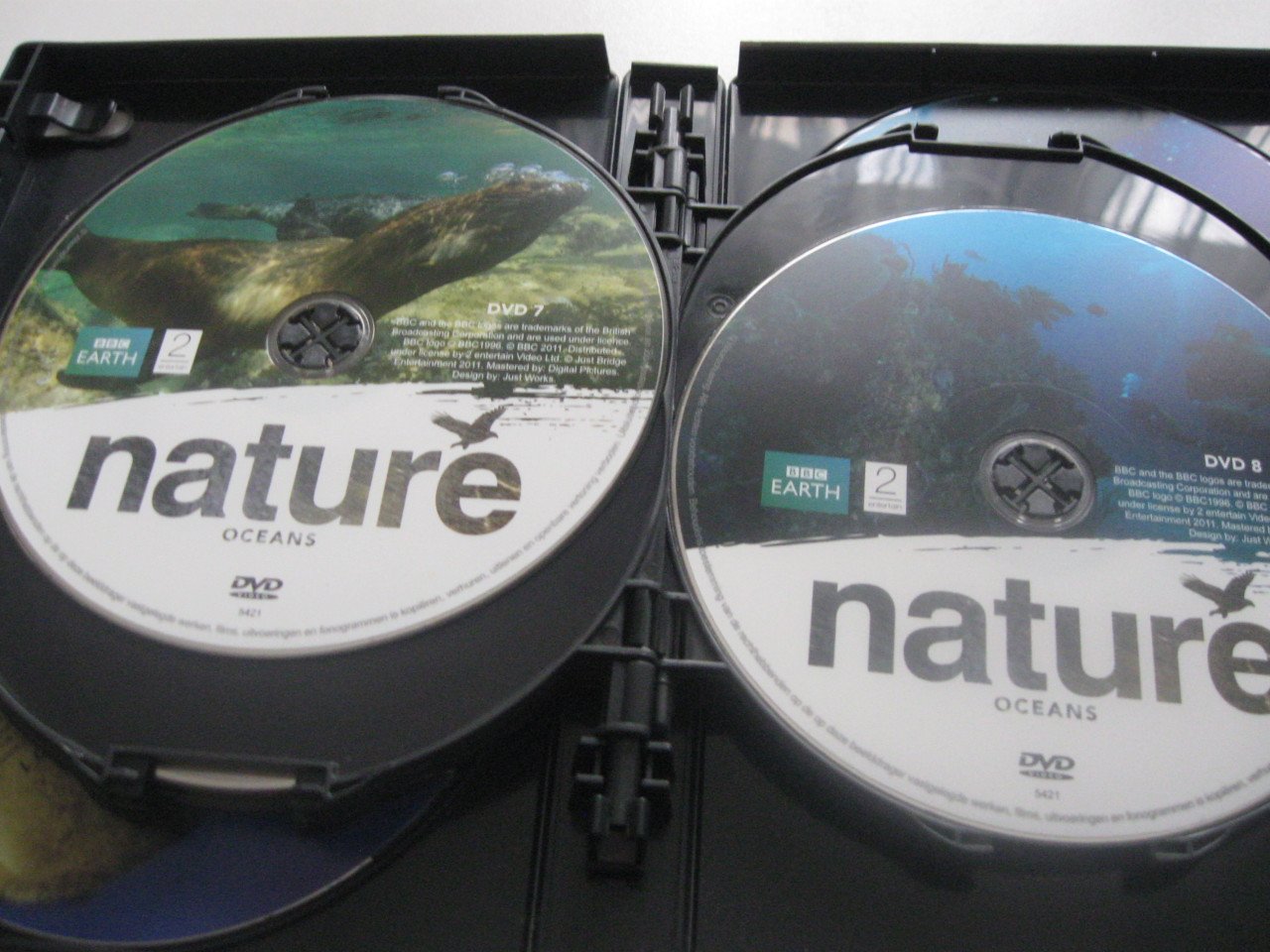 10 DV's Nature