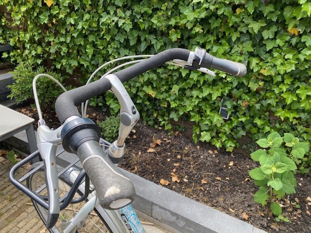 Moederfiets Gazelle Bloom
