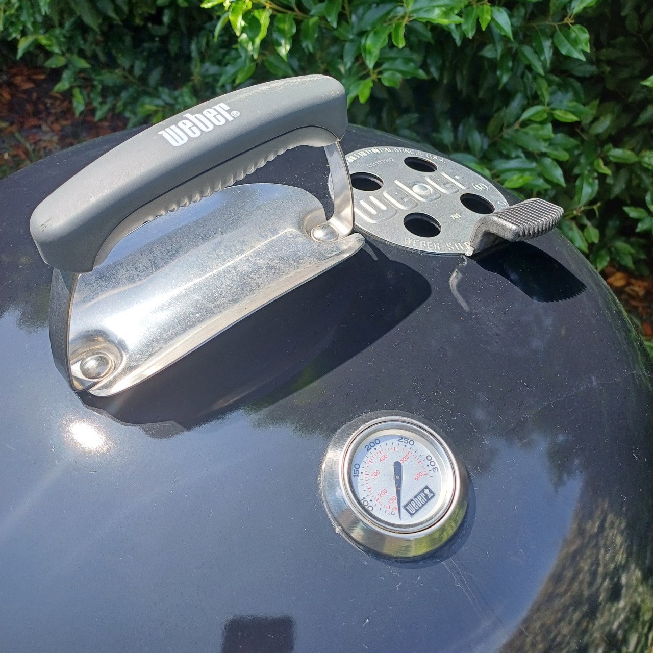 Weber Barbecue