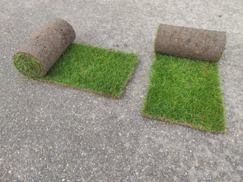 Actie! Graszoden van Zeeuwse bodem met korting!